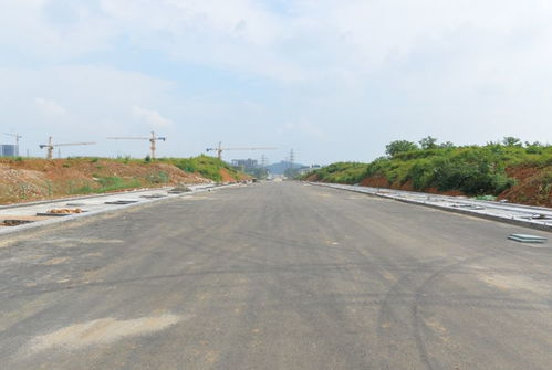 樂山高新區基礎設施及配套工程建設ppp項目 道路篇