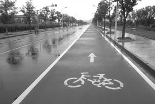 14年苦心經(jīng)營(yíng)崇明成騎行者天堂