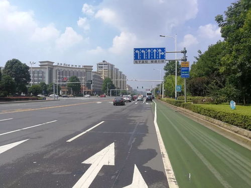 回應(yīng)市民關(guān)切，龍洲路沿線路口交通設(shè)施迎升級，道路安全再添新保障