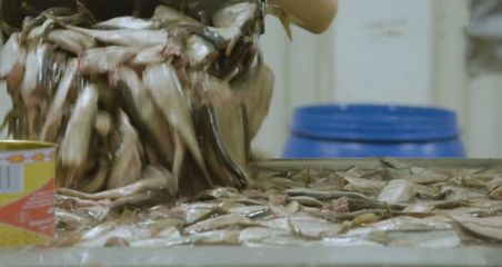 實(shí)拍:世界上最臭的工廠,每個(gè)工人都已練就&ldquo;百毒不侵&rdquo;的身體